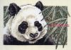 Dimensions 06784, Панда (Panda Delight)