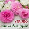 1f00e04c59b7ae24fe6b76fc00066b3b.thumb.jpg.d4f39d3b7e128a3ab545e44cec4a33f6.jpg