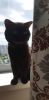 20210727_112905.thumb.jpg.b5a49498ed76c9b5ed94f63c697a75f9.jpg