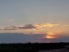 20210727_194748.thumb.jpg.f2cb693e72b4e34a1d1b4b58e60f2236.jpg