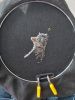 20210818_094841.thumb.jpg.ec72721aeaeb921c46feef9f3bdb3df5.jpg