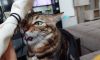 20210821_094900.thumb.jpg.69158c5528c9fbbc48ee08ae353f92c2.jpg