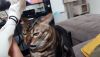 20210821_094910.thumb.jpg.5a90028ae4714c14a8e6913dbb28f9b7.jpg
