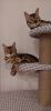 20210821_225845.thumb.jpg.56ebf62e7c1b7cf53c0929f29eec9ef7.jpg