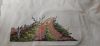 20210822_091159.thumb.jpg.2cc85eaf74a4bceb2d65f98955165858.jpg