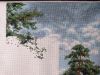 25973029_IMG_20210818_0005532.thumb.jpg.17f7fa4846a70cfd121f98d45dbef8b1.jpg