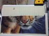 4D71FBF3-15E0-48FF-A497-133E68FDF0E9.thumb.jpeg.ef73bfa24a32b6bec77fe250b19daaef.jpeg