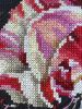 5.thumb.jpg.37f19443e19366015eac8fc448892187.jpg
