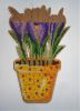 Crocuses3.JPG.fe7cdf954d34e9f5258a5191b99896a6.thumb.jpg.4ecb29eb1f62bcc707b7f45703f52c05.jpg