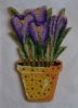 Crocuses4.JPG.1dc9711d2b6c7fd51b66c5258163f2b5.thumb.jpg.897e53ec6869d0e2493a20befd57ea77.jpg
