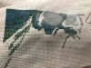 D465293E-C2BE-4C77-9BA0-0129C0E0721A.jpeg