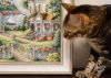 DSC01172.thumb.JPG.f64b739632529bea409ee0577dec212c.JPG