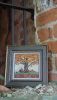 DSC01179.thumb.JPG.8fac1c8a398beaf7f1cbfdbf960c62f5.JPG