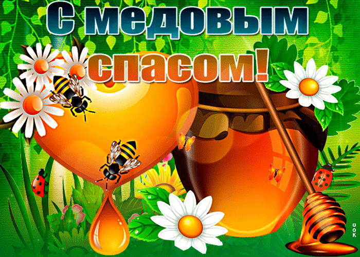 GIF-4da35370047e72cc00371ca16907aba5.gif