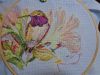 Hummingbird5.JPG.54031c8b475ad02f08cba04c122e5e8d.thumb.jpg.1381e20a48a000b31c9bf9fcf2e655e7.jpg