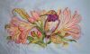 Hummingbird6.JPG.9a05de470e8ed615cf64fe53942a9a25.thumb.jpg.5ec33dd5e991cad5a4ce064025923ad9.jpg