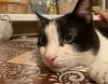 IMG-20210813-WA0001.thumb.jpg.e274cbcf1bff48bff53bfa316b2a1d5b.jpg
