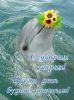 IMG-20210827-WA0004.thumb.jpg.e3d95580f6e676046ad15e0d8cd8cc81.jpg
