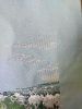 IMG20210820120655.thumb.jpg.9b980ce6a974d04e257d2fde19bd65f2.jpg