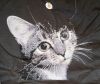 IMG_20210721_203947.thumb.jpg.db740890c1988560a082066434543cde.jpg