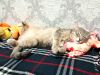 IMG_20210723_232756.thumb.jpg.082630e28819d1e95f70bc87e3c55f53.jpg