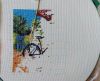 IMG_20210725_115205.thumb.jpg.6dd36cc5b3eb3da7c0ddab2ab8bc879f.jpg