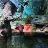 IMG_20210801_090545_019.thumb.jpg.9615de0c09dd9d46c5f3467fe8734092.jpg