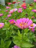 IMG_20210801_145720.thumb.jpg.f89ba5c85b9864bdf4aba7226e71ce54.jpg?1628192905220