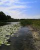 IMG_20210807_151313_454.thumb.jpg.af6b53fd7d45d91f1517b8abd8362f11.jpg