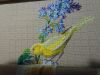 IMG_20210810_005353.thumb.jpg.b576d68ac0b75d22ae35ae437a9dbcca.jpg