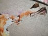IMG_20210814_151706.thumb.jpg.90da4d16accf2355af57c34bc685b20b.jpg?1629007052237