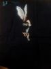 IMG_20210816_150202.thumb.jpg.c465789085a96d07acac59cd469b7fc4.jpg