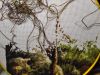 IMG_20210817_220305_1.thumb.jpg.54b18008438cf193ece990c9684e3e09.jpg