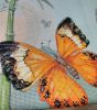 IMG_20210819_221458.thumb.jpg.c3dfc4c40b96ee032d79e93ba7296fa6.jpg