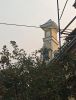 IMG_20210820_162751.thumb.jpg.2ec9af90c15ffd0cb7ae2aed71359d25.jpg