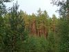 IMG_20210821_170505.thumb.jpg.f2cecf27df5bc6f7b99323711a0ba35b.jpg