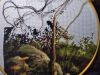 IMG_20210821_222705.thumb.jpg.02e53c1a973bb5715bbc305a24eb0368.jpg