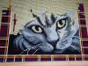 IMG_20210828_235115.thumb.jpg.20cb09e31c9ecf5c5d23cf756c3c2411.jpg
