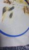 SQwY5onSrks.thumb.jpg.ddd7609a3a24c04d281af395e51ac548.jpg