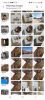 Screenshot_20210724-144949_Gallery.thumb.jpg.5df27f9f6491e5f9d57233328cf3b13c.jpg