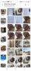 Screenshot_20210724-144955_Gallery.thumb.jpg.54f833cf0b06a55a4ae6a42833dfba46.jpg
