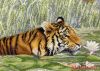 15214.thumb.jpg.9fa7f57d00e01c9bdcd1a3555b60ecd4.jpg
