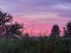 20210714_214346.thumb.jpg.2e2b4be8d8a5ac0f4f009a89986306f2.jpg?1631784520490