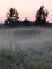 20210715_213114.thumb.jpg.c113c88158c72902cd8975f9b3d0c152.jpg