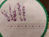 20210716_001738.thumb.jpg.59267bf52daf44fd3fee4747c2a16c45.jpg