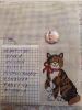 20210725_012412.thumb.jpg.48525e24ab34956ba57bf42992be207b.jpg