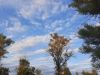20210725_200858.thumb.jpg.a1a85b84c35c2e13f519bc257071d4f5.jpg