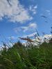 20210726_152535.thumb.jpg.045ecee8b963e966c1b5abf11f0c4880.jpg