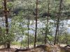 20210727_164543.thumb.jpg.91e1c1b2adcb7bc42f70660718a88c10.jpg
