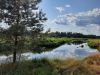 20210727_164756.thumb.jpg.9ed7516e5a5b2fe4786798a2b57dc01d.jpg